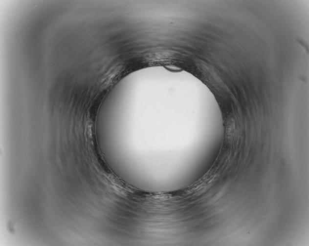 X0000094440282200711081032