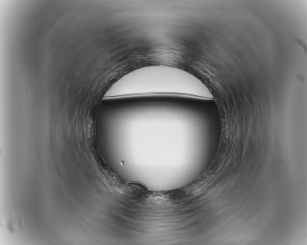 X0000094440283200711081032