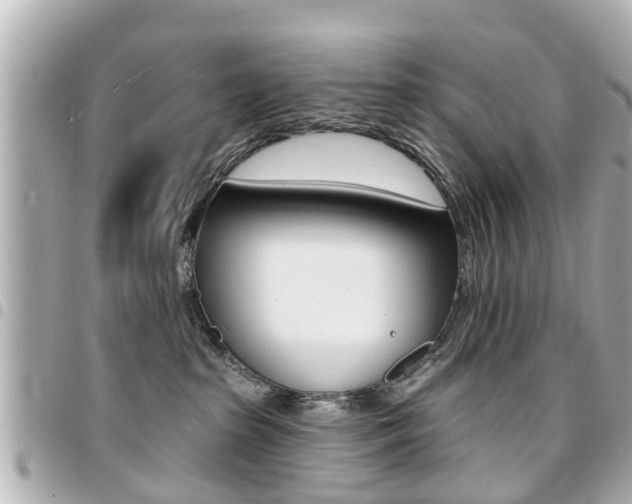 X0000094440285200711081032