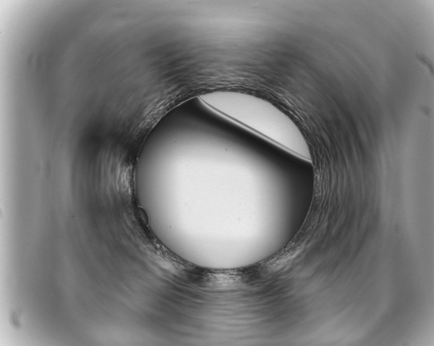 X0000094440286200711081032