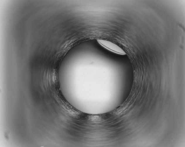 X0000094440287200711081032