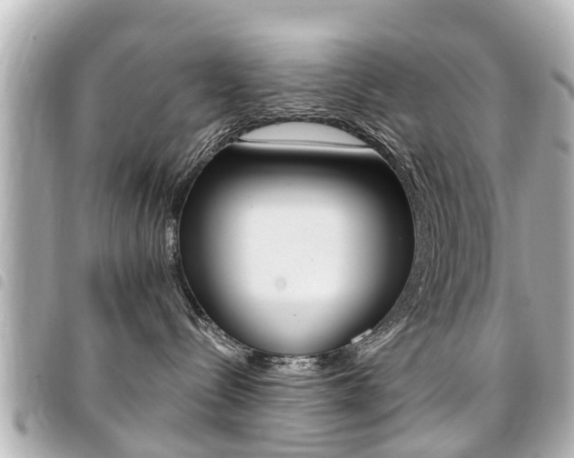 X0000094440288200711081032