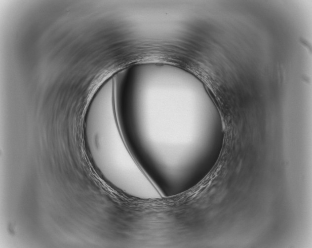 X0000094440289200711081031