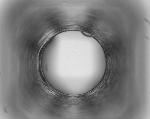X0000094440290200711081031