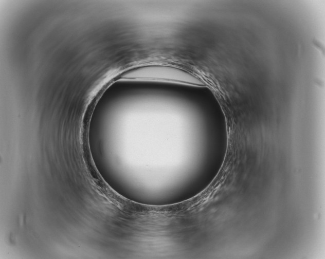 X0000094440292200711081031