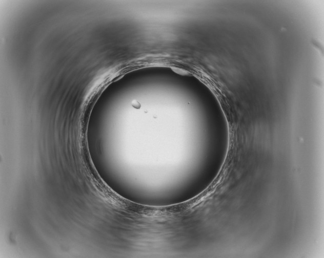 X0000094440293200711081031