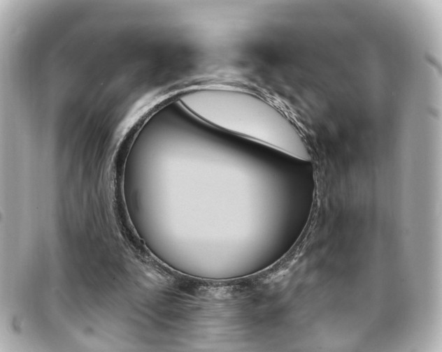 X0000094440295200711081031