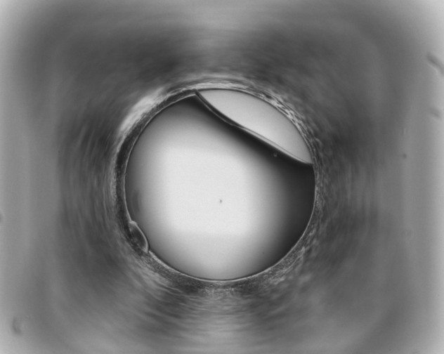 X0000094440296200711081031