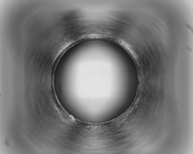 X0000094440297200711081031