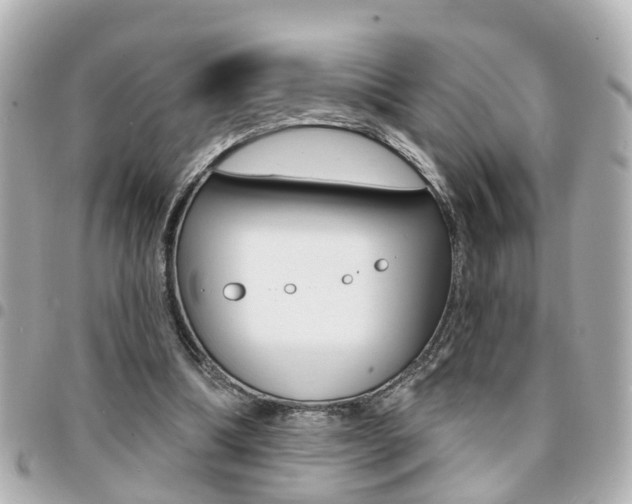 X0000094440298200711081031