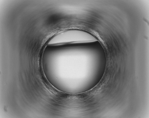 X0000094440299200711081031