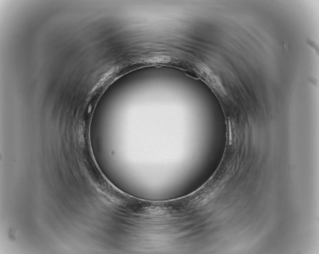 X0000094440300200711081031