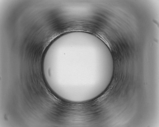X0000094440301200711081031