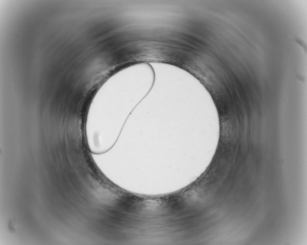 X0000094440302200711081031
