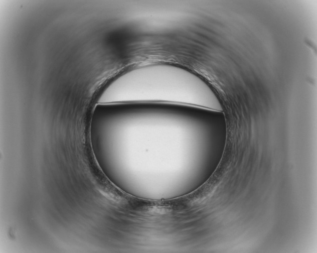X0000094440303200711081031