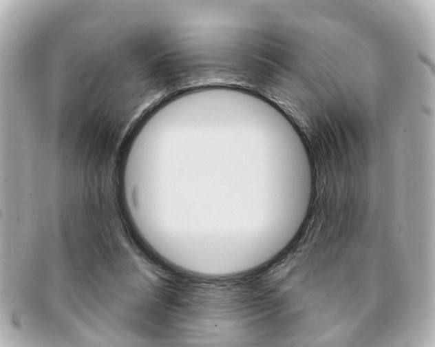 X0000094440304200711081031