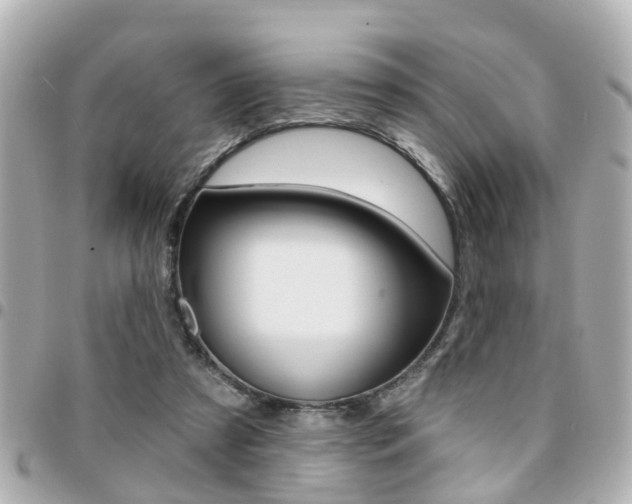 X0000094440305200711081031