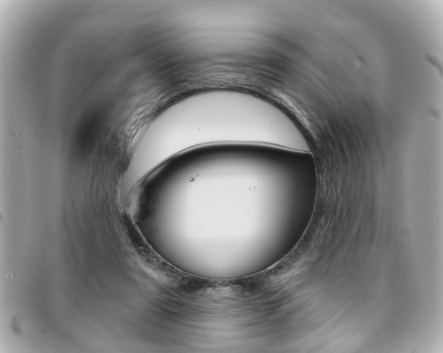 X0000094440307200711081031