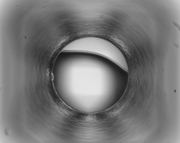 X0000094440308200711081031