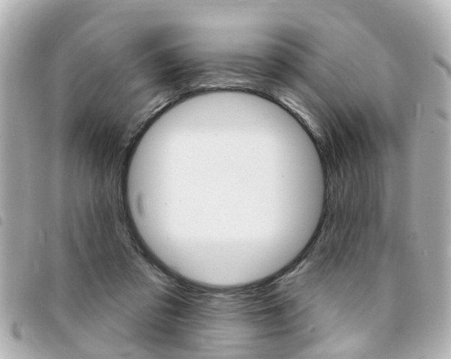 X0000094440309200711081031