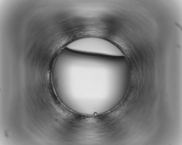 X0000094440310200711081031