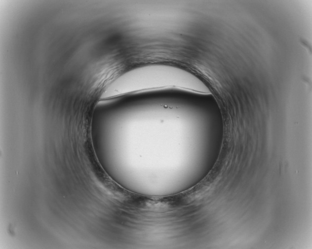X0000094440311200711081031