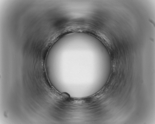 X0000094440314200711081031