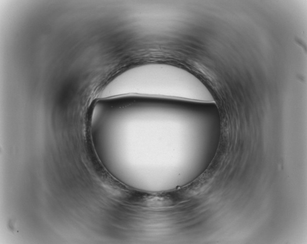 X0000094440315200711081031