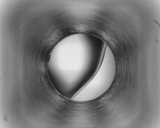 X0000094440317200711081031