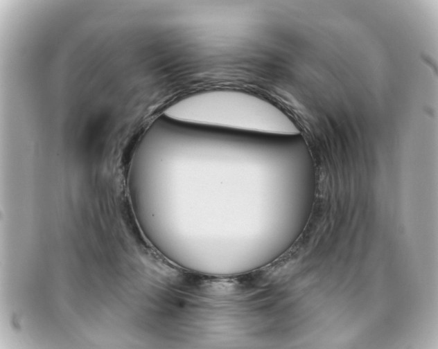X0000094440318200711081031