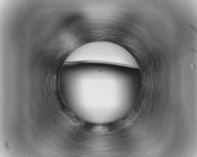 X0000094440319200711081031