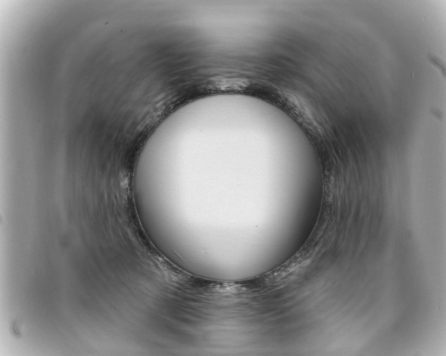 X0000094440321200711081031