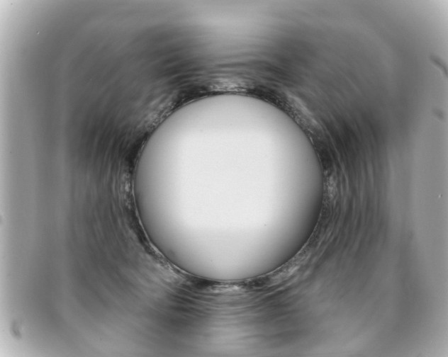 X0000094440322200711081031