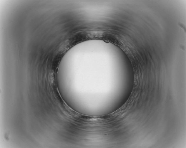 X0000094440323200711081031