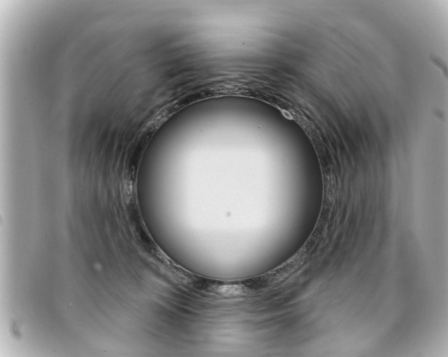 X0000094440324200711081031