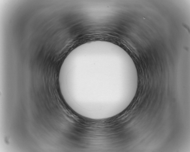 X0000094440328200711081031