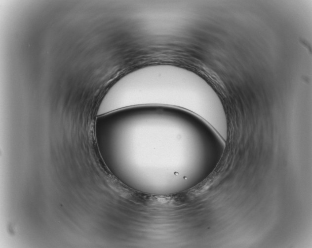 X0000094440329200711081031