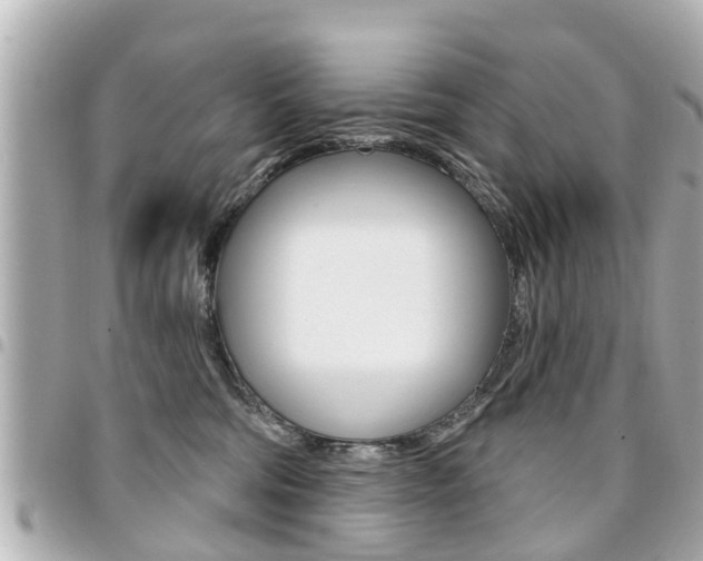 X0000094440330200711081031