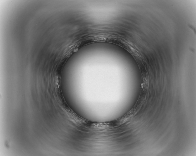 X0000094440331200711081031