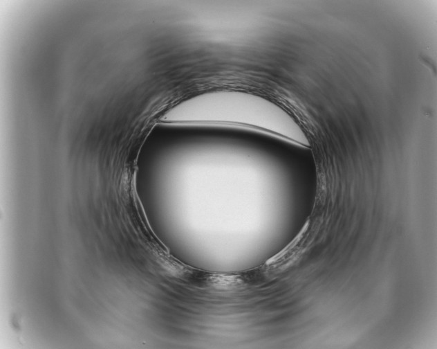X0000094440333200711081031