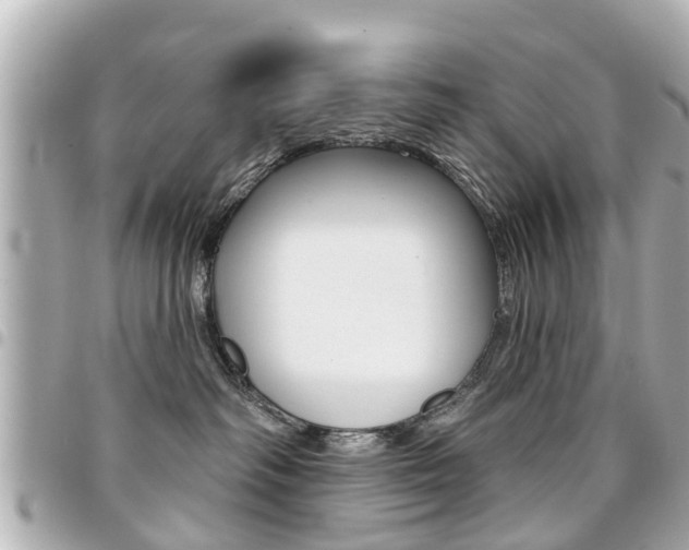 X0000094440334200711081031