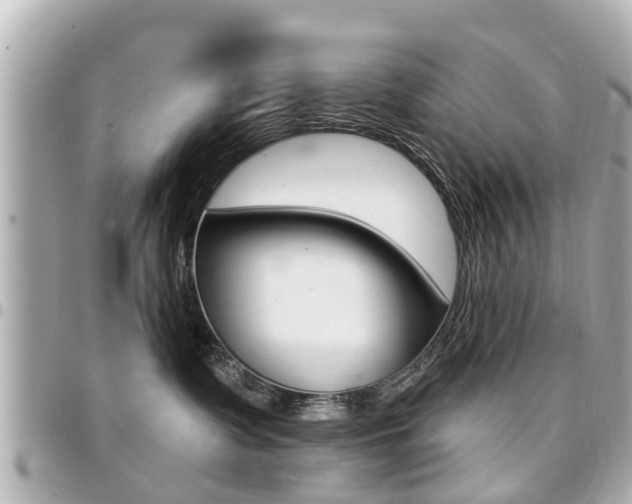 X0000094440335200711081031