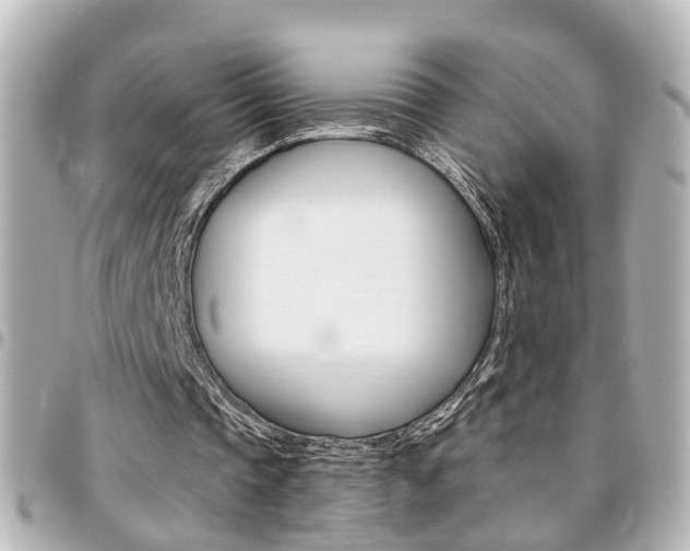 X0000094440337200711081030