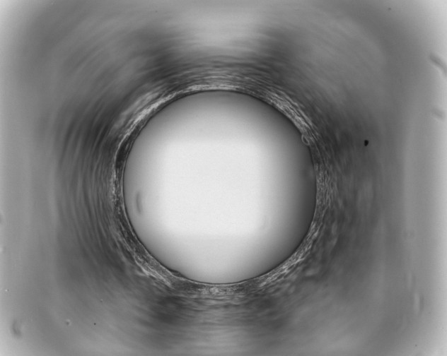 X0000094440338200711081030