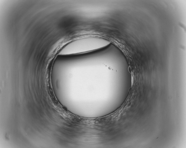 X0000094440339200711081030