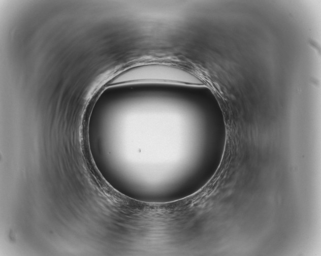 X0000094440340200711081030