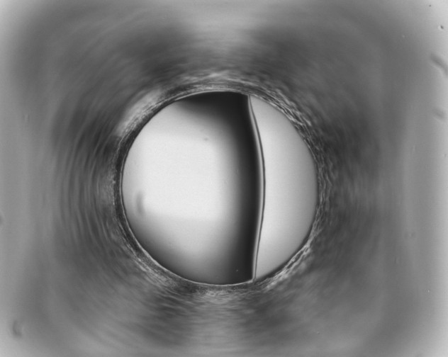 X0000094440341200711081030