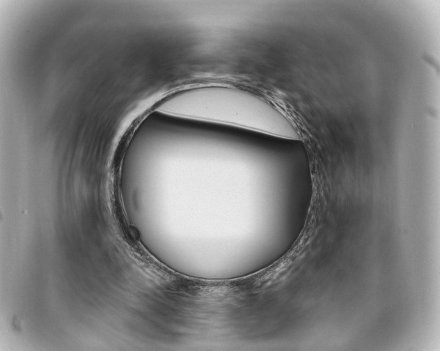 X0000094440342200711081030