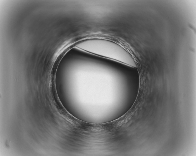 X0000094440344200711081030