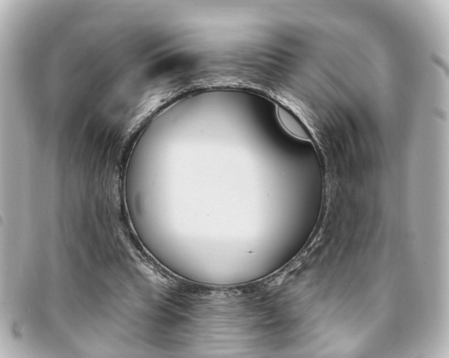 X0000094440345200711081030